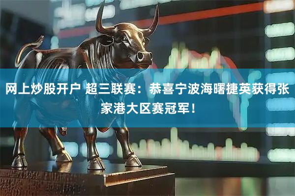 网上炒股开户 超三联赛：恭喜宁波海曙捷英获得张家港大区赛冠军！