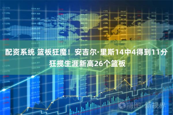 配资系统 篮板狂魔！安吉尔·里斯14中4得到11分 狂揽生涯新高26个篮板